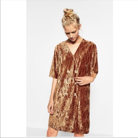 Zara Dresses & Skirts - Zara crushed velvet button dress (D3)